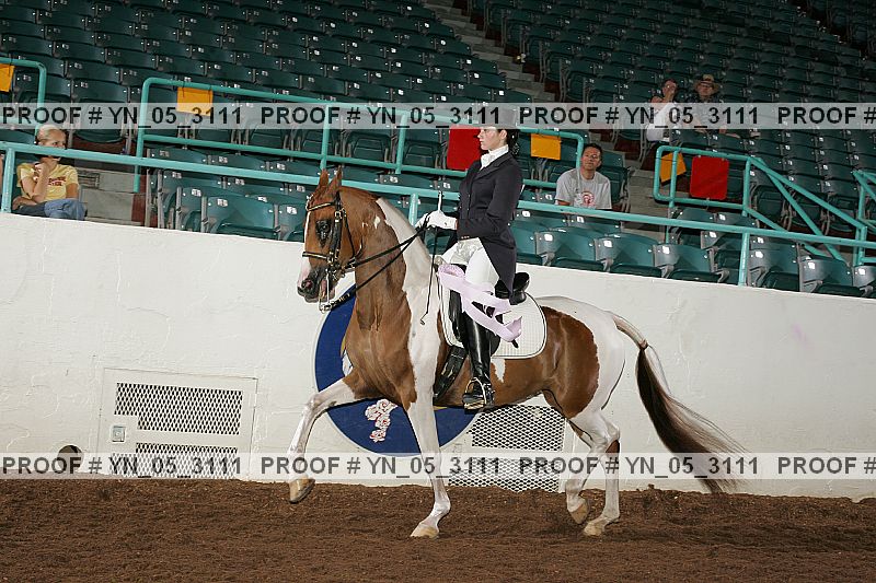 Proof Number yn_05_3111