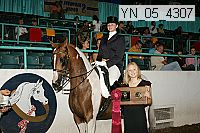Proof Number yn_05_4307