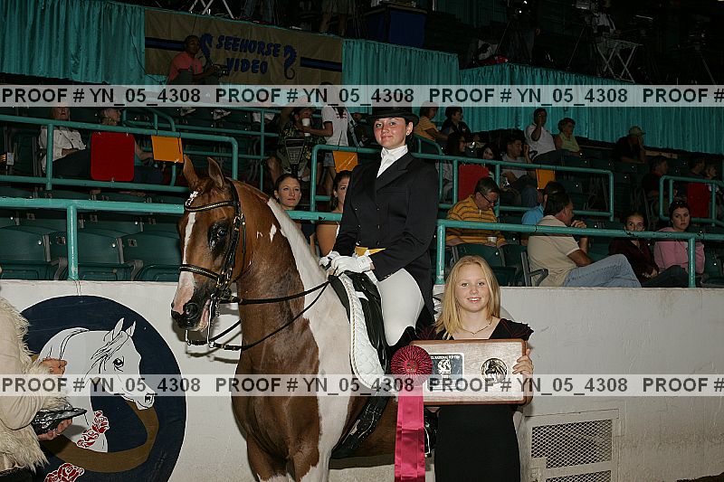 Proof Number yn_05_4308