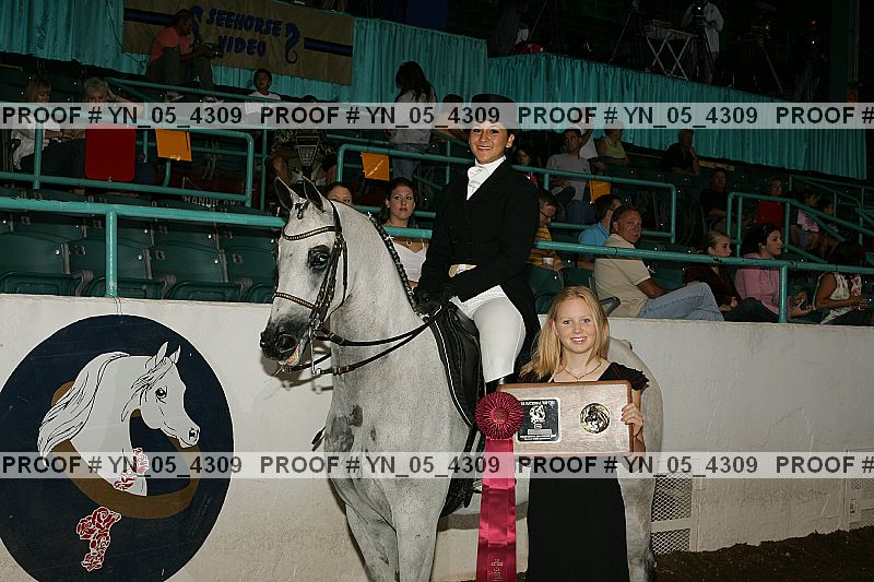 Proof Number yn_05_4309
