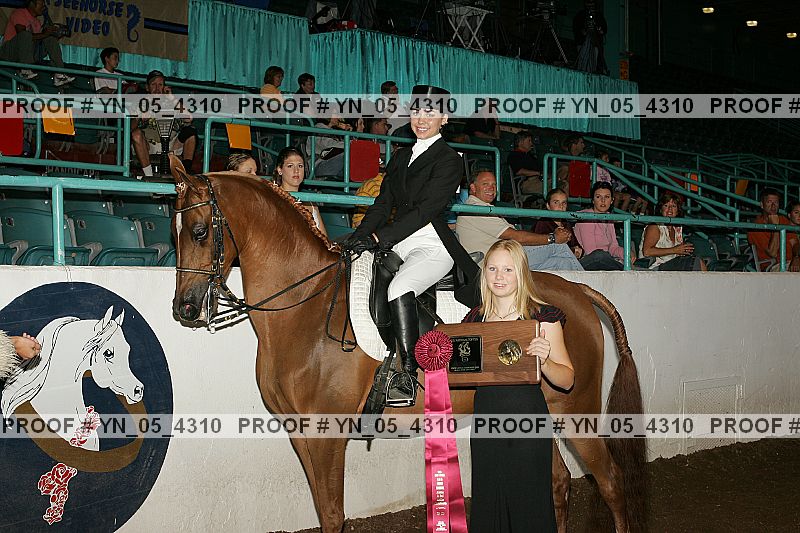 Proof Number yn_05_4310
