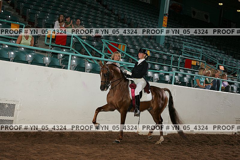 Proof Number yn_05_4324