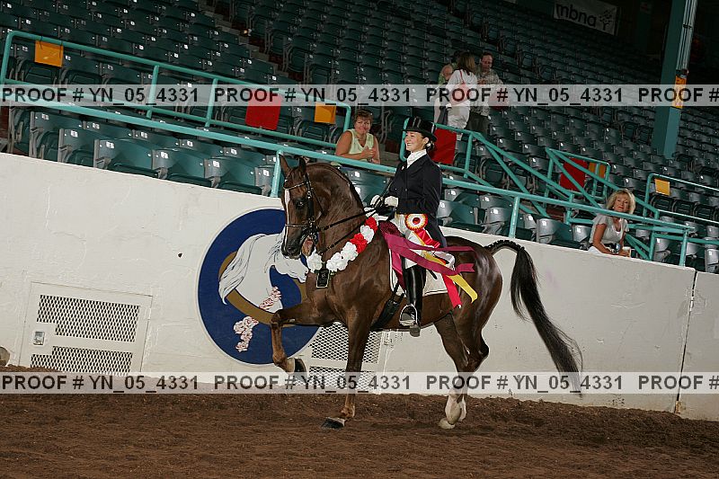 Proof Number yn_05_4331