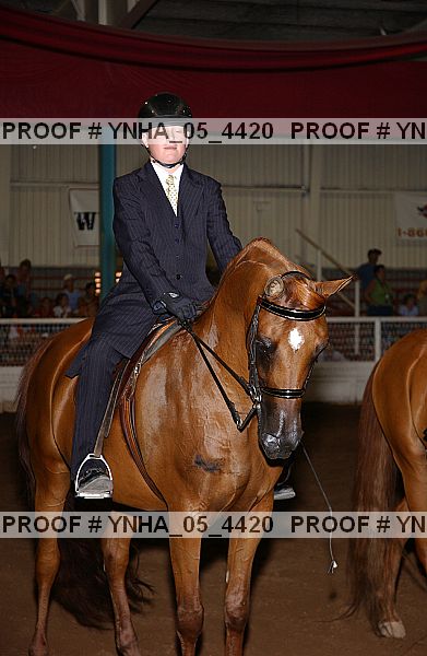Proof Number ynha_05_4420