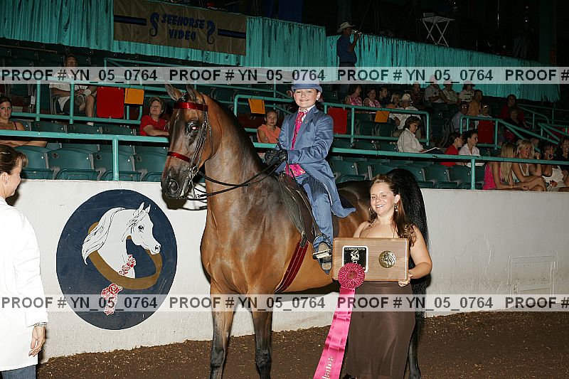 Proof Number yn_05_0764