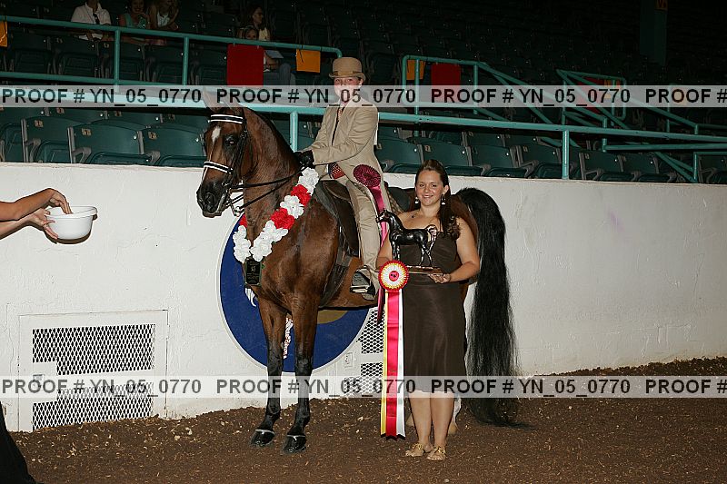 Proof Number yn_05_0770