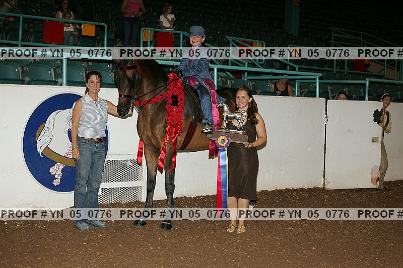 Proof Number yn_05_0776