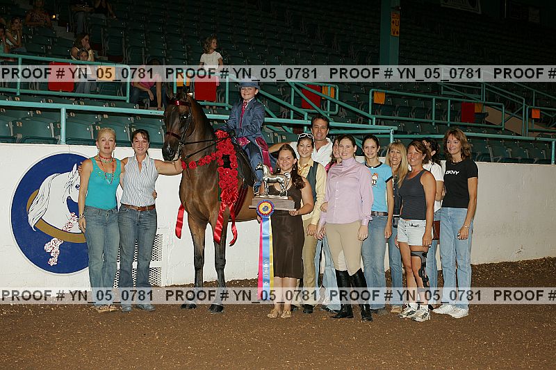 Proof Number yn_05_0781