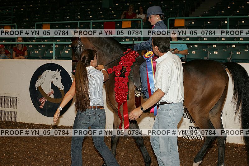 Proof Number yn_05_0784
