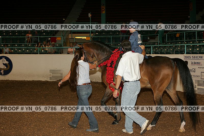 Proof Number yn_05_0786
