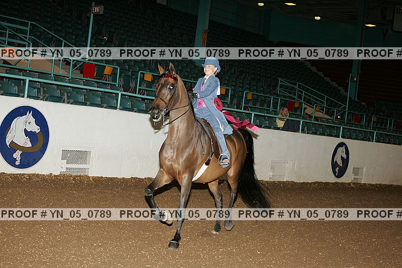 Proof Number yn_05_0789