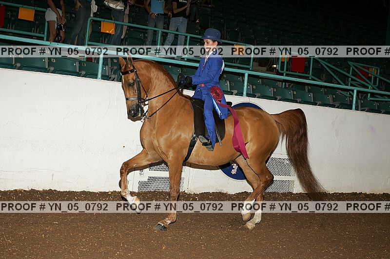Proof Number yn_05_0792