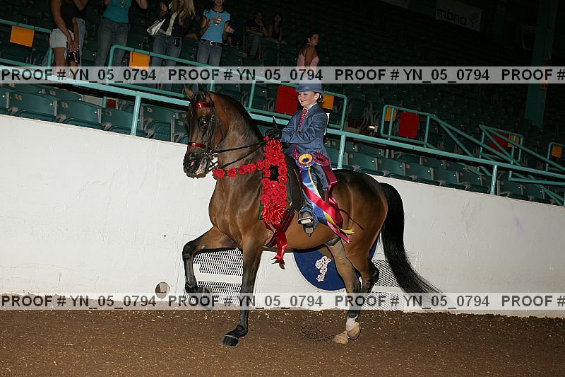 Proof Number yn_05_0794