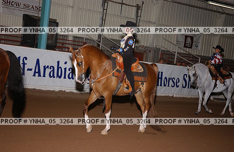Proof Number ynha_05_3264