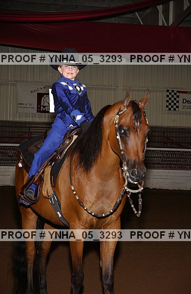 Proof Number ynha_05_3293