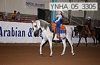 Proof Number ynha_05_3305