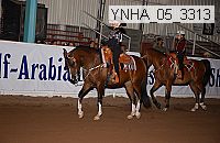 Proof Number ynha_05_3313