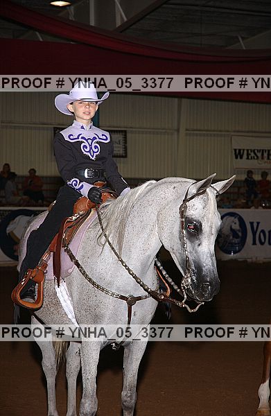 Proof Number ynha_05_3377