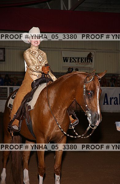 Proof Number ynha_05_3380