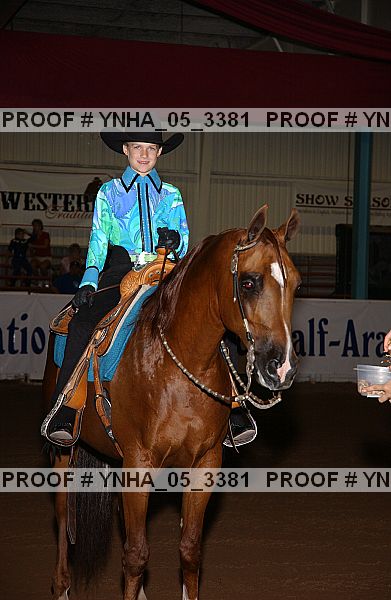 Proof Number ynha_05_3381