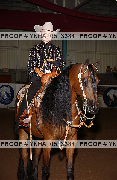 Proof Number ynha_05_3384