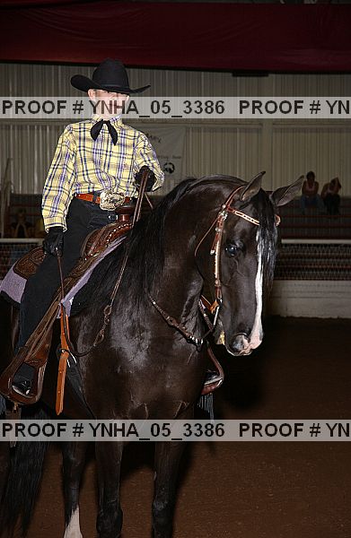 Proof Number ynha_05_3386