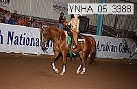 ynha_05_3388 thumbnail