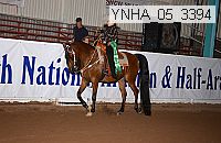Proof Number ynha_05_3394