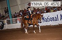 Proof Number ynha_05_4575
