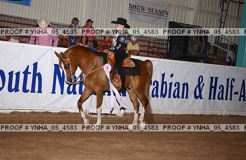 Proof Number ynha_05_4583