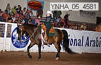Proof Number ynha_05_4585