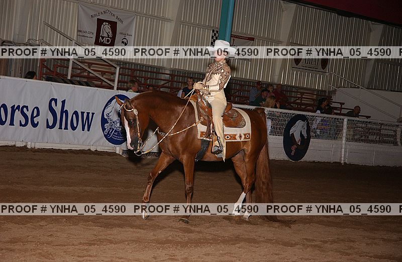 Proof Number ynha_05_4590