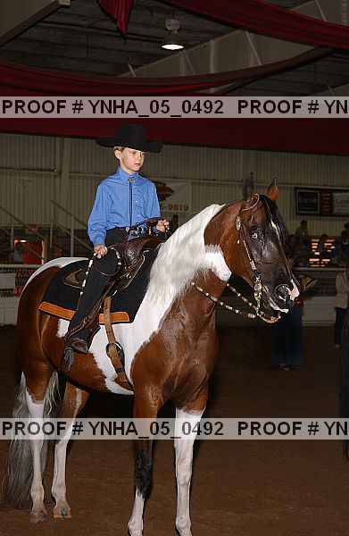 Proof Number ynha_05_0492