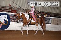 Proof Number ynha_05_0523