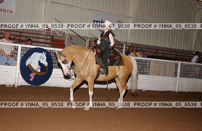 Proof Number ynha_05_0538