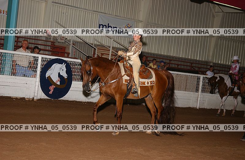 Proof Number ynha_05_0539