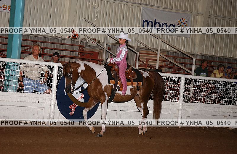 Proof Number ynha_05_0540
