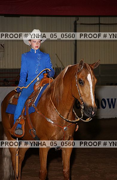 Proof Number ynha_05_0560