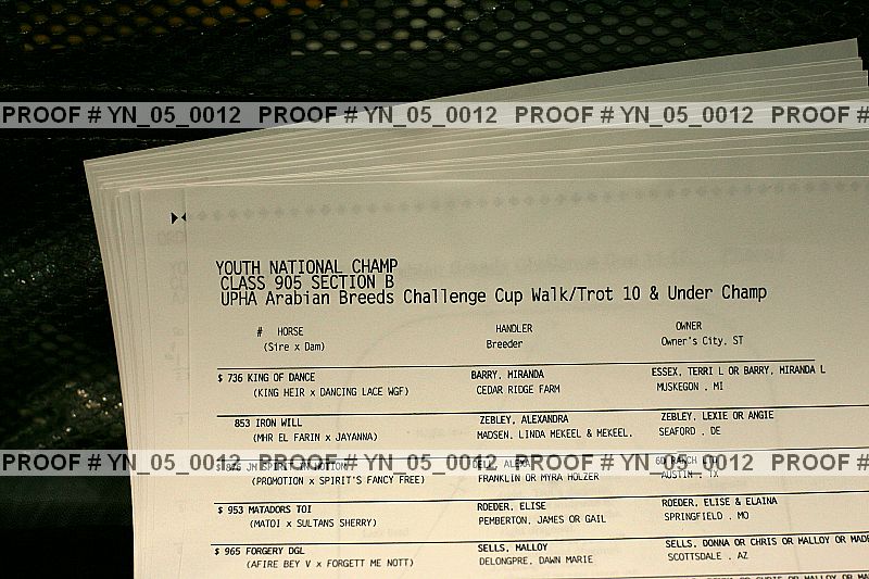 Proof Number yn_05_0012
