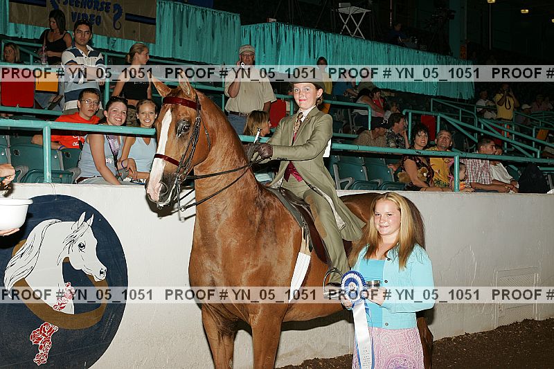 Proof Number yn_05_1051