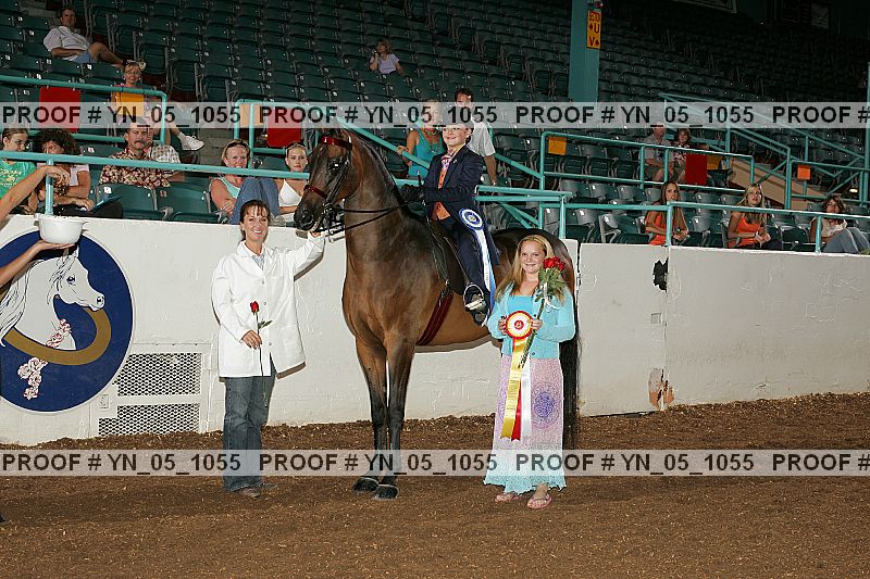 Proof Number yn_05_1055