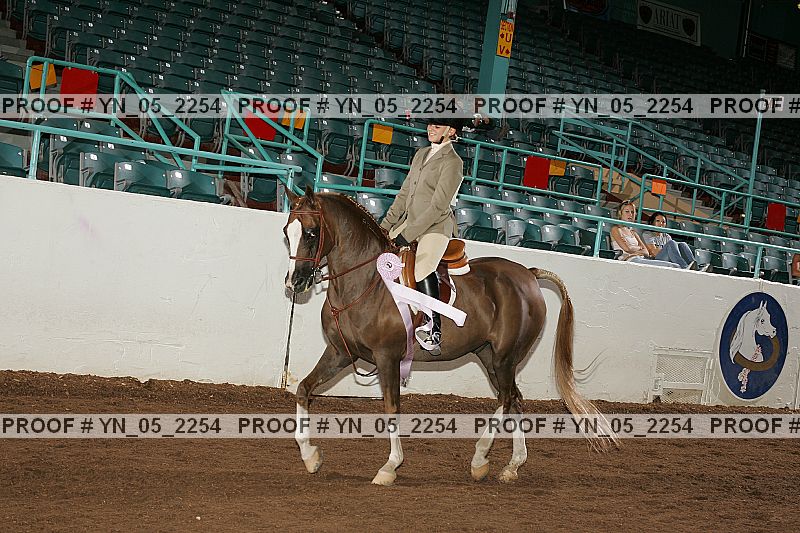 Proof Number yn_05_2254