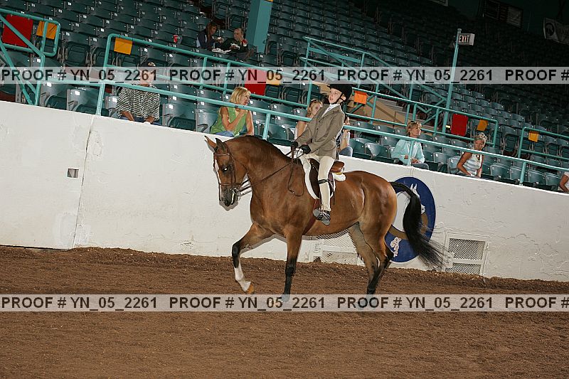 Proof Number yn_05_2261