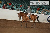 Proof Number yn_05_2275