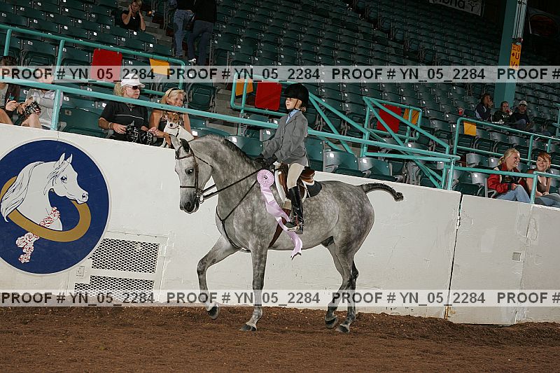 Proof Number yn_05_2284