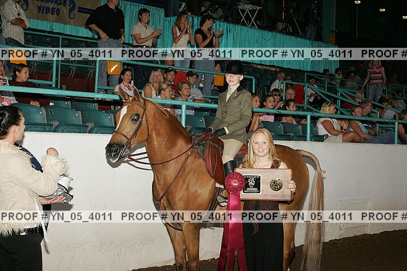 Proof Number yn_05_4011