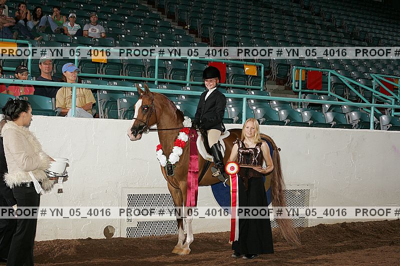 Proof Number yn_05_4016