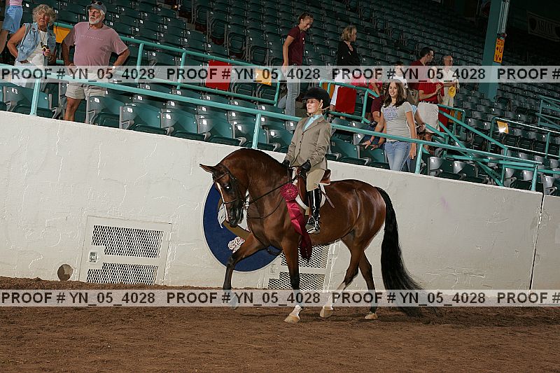 Proof Number yn_05_4028