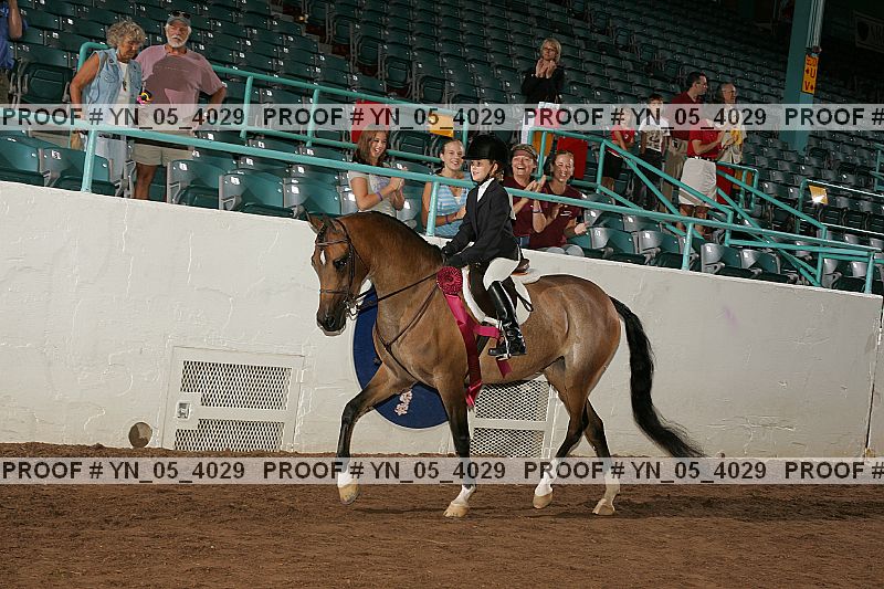 Proof Number yn_05_4029