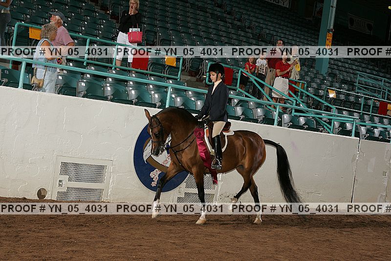 Proof Number yn_05_4031